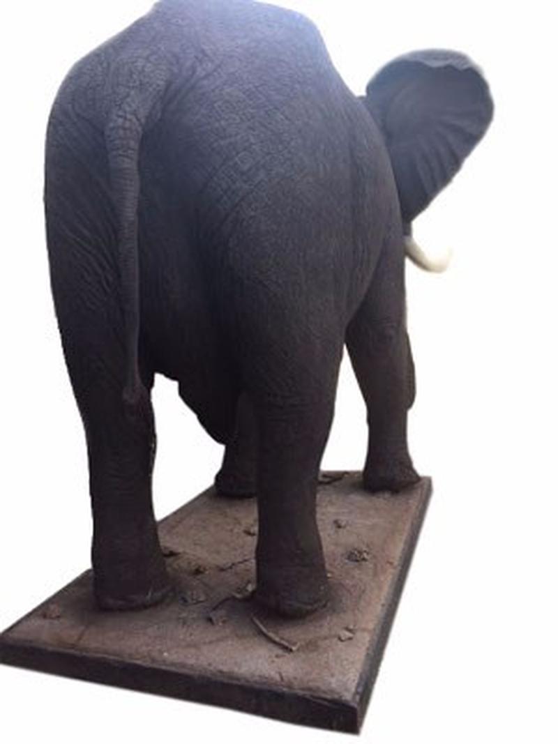 Elephant Full Mount ELF1 - Image 4