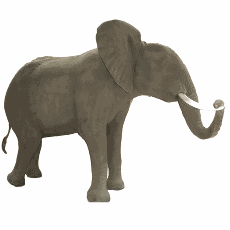 Elephant Full Mount ELFM1