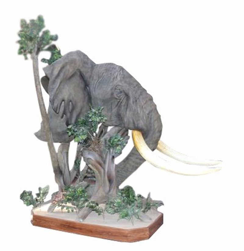 Elephant Half Mount EHM1 - Image 2