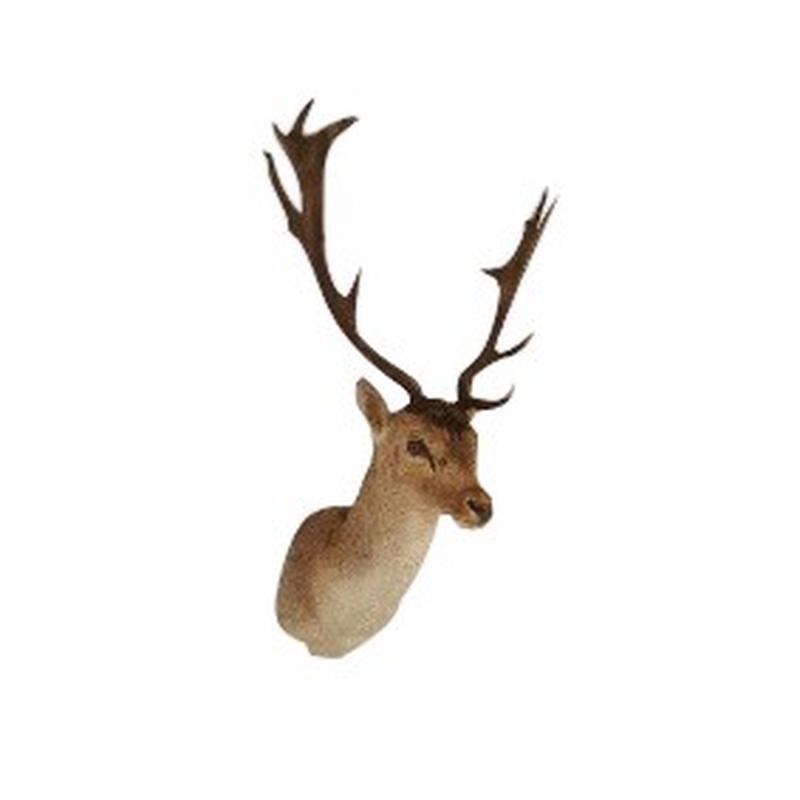 Fallow Deer Shoulder Mount FDS1 - Image 2