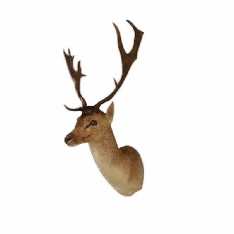 Fallow Deer Shoulder Mount FDS1 - Image 3