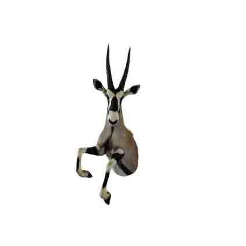 Gemsbok Half Mount GHM1