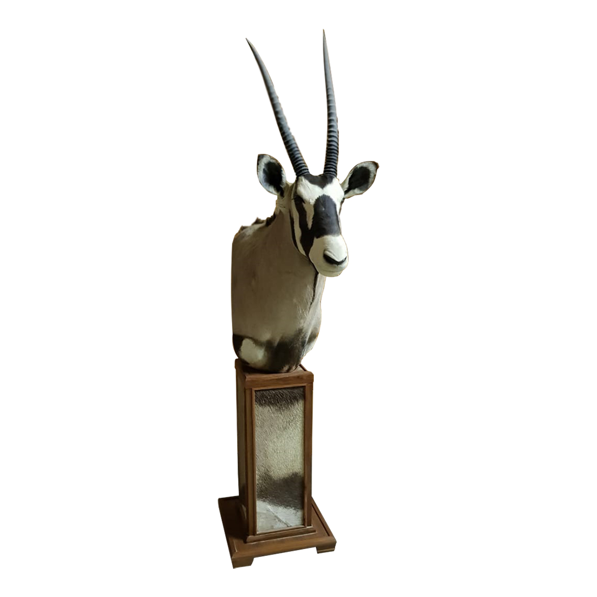 GEMSBOK PEDESTAL MOUNT GPM189 - Image 2