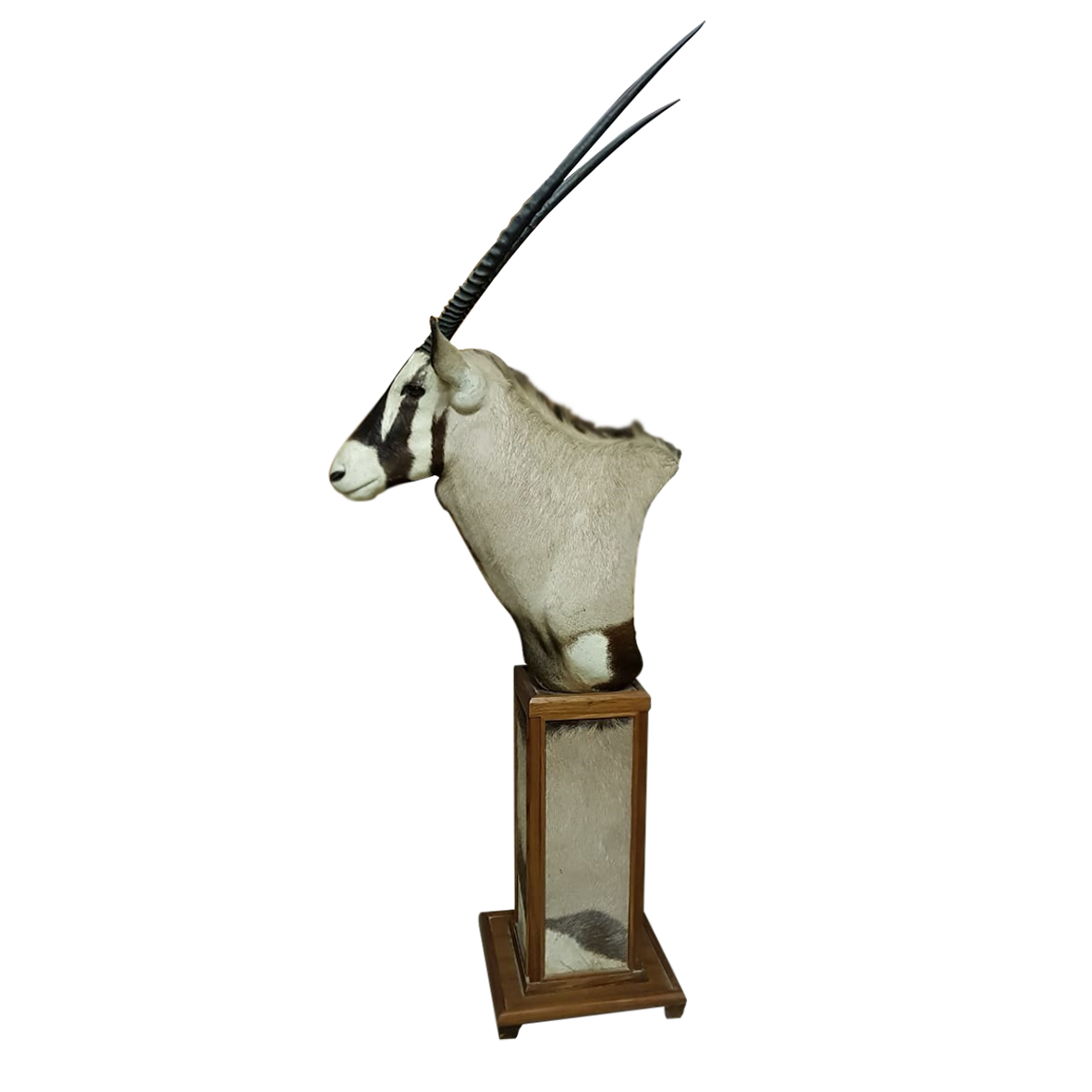 GEMSBOK PEDESTAL MOUNT GPM189 - Image 3