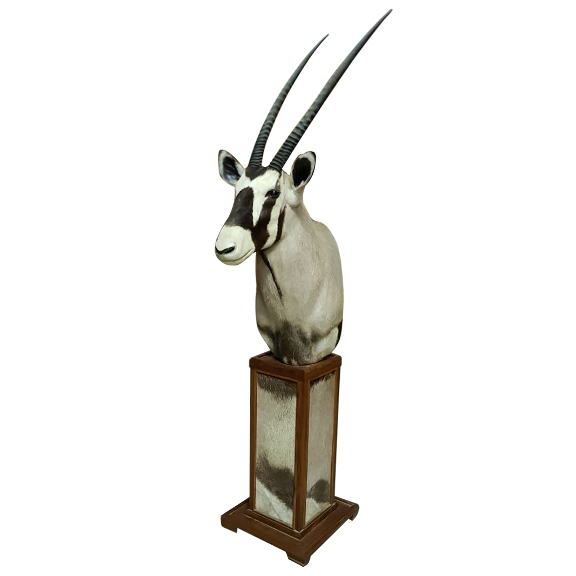 GEMSBOK PEDESTAL MOUNT GPM189
