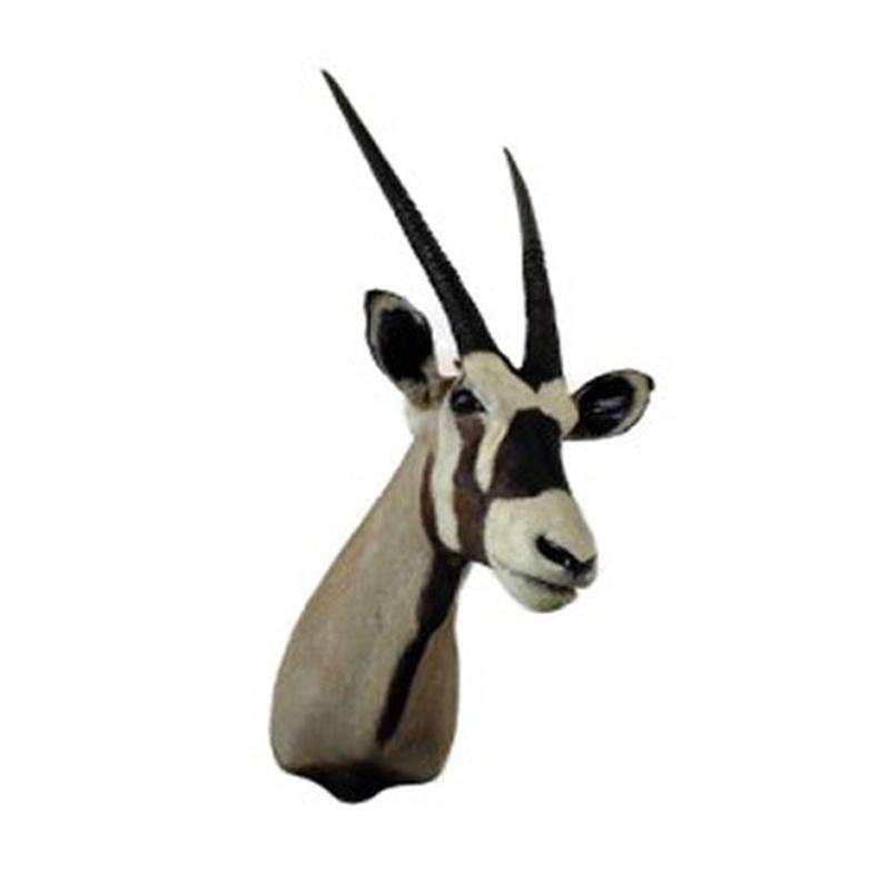 Gemsbok Shoulder Mount GBSM03