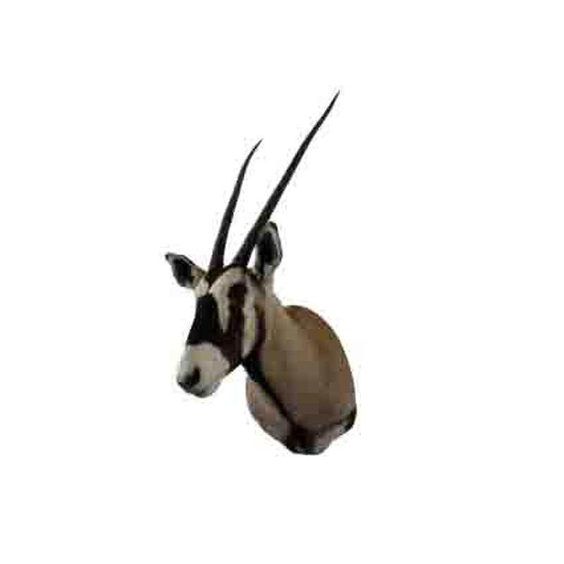 Gemsbok Shoulder Mount GBSM04