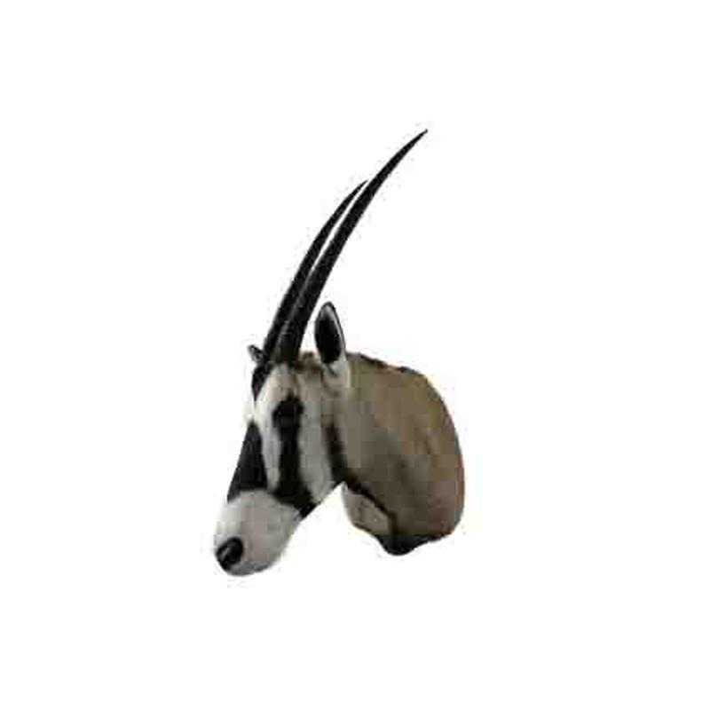 Gemsbok Shoulder Mount GBSM05