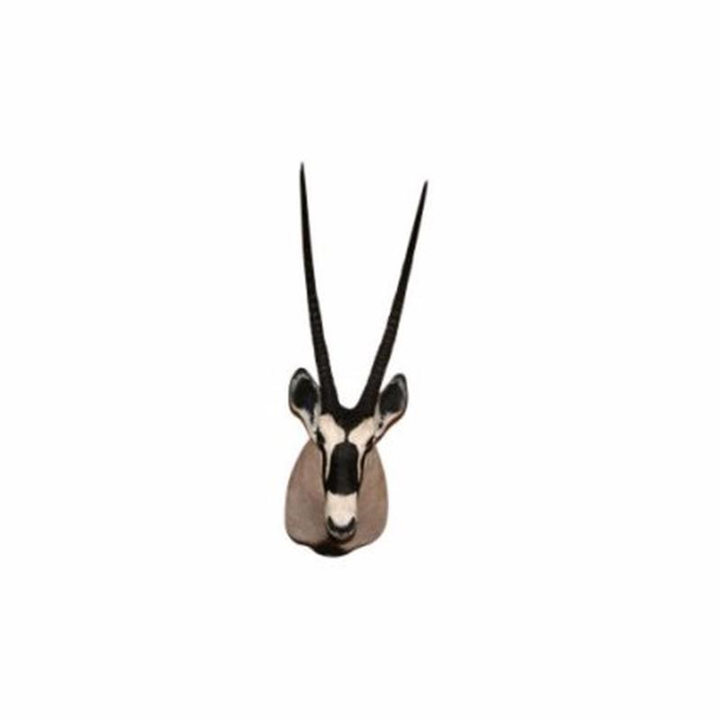 Gemsbuck Shoulder Mount GSM1