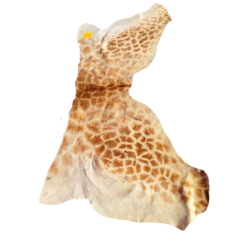 Giraffe Back Skin - GBS120 - Image 2