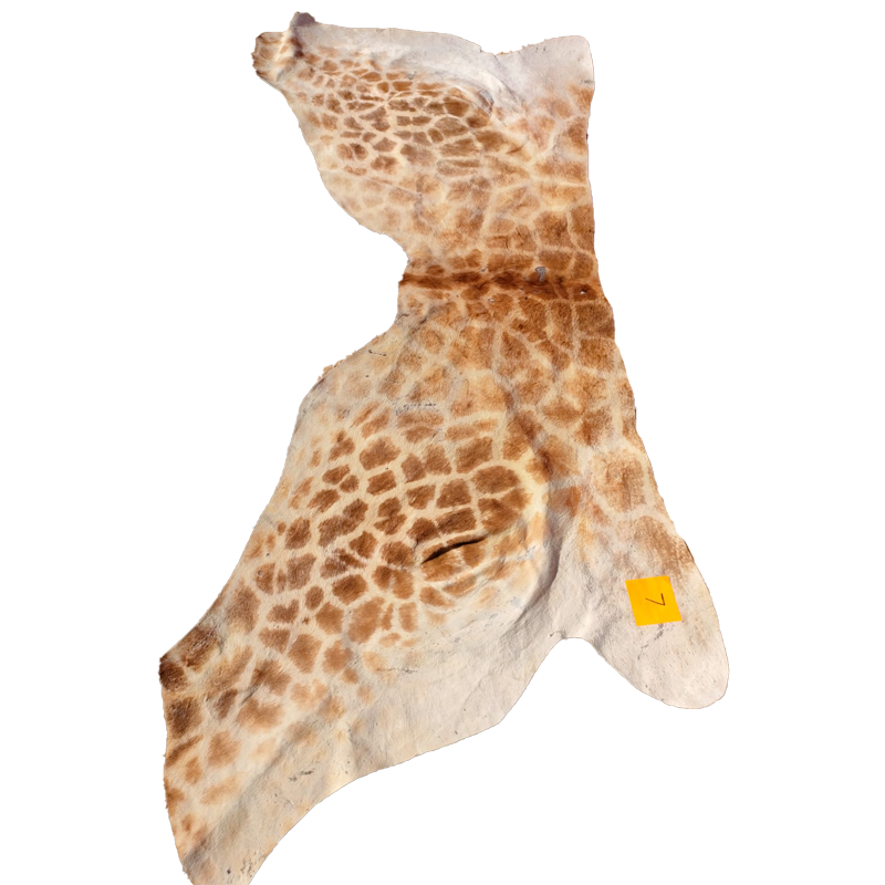 Giraffe Back Skin - GBS120