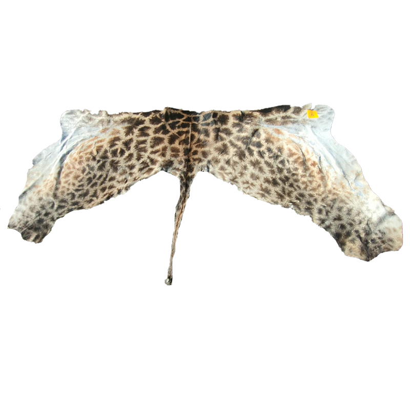 Giraffe Back Skin - GBS121 - Image 2