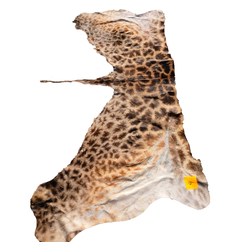 Giraffe Back Skin - GBS121