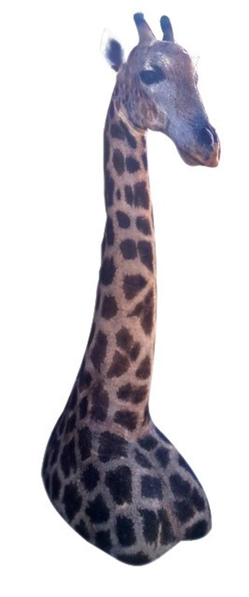 Giraffe Floor Mount GFM05 - Image 2