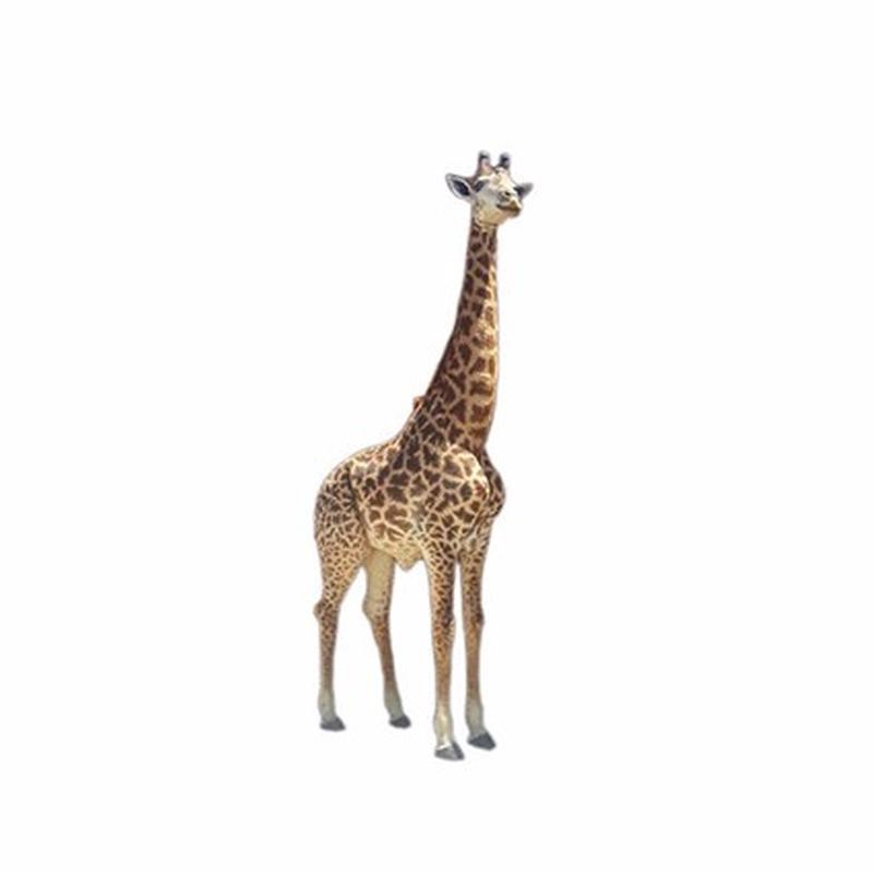 Giraffe Full Mount For Sale #G002