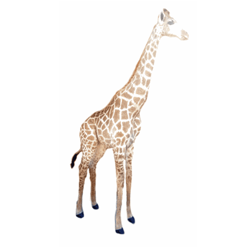 Giraffe Full Mount - G307 - Image 4