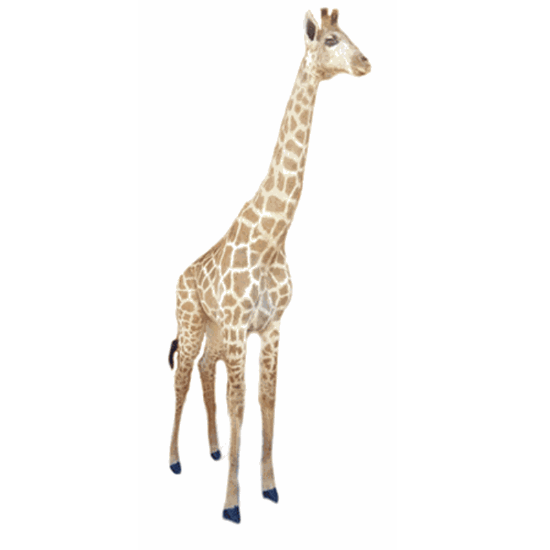 Giraffe Full Mount - G307