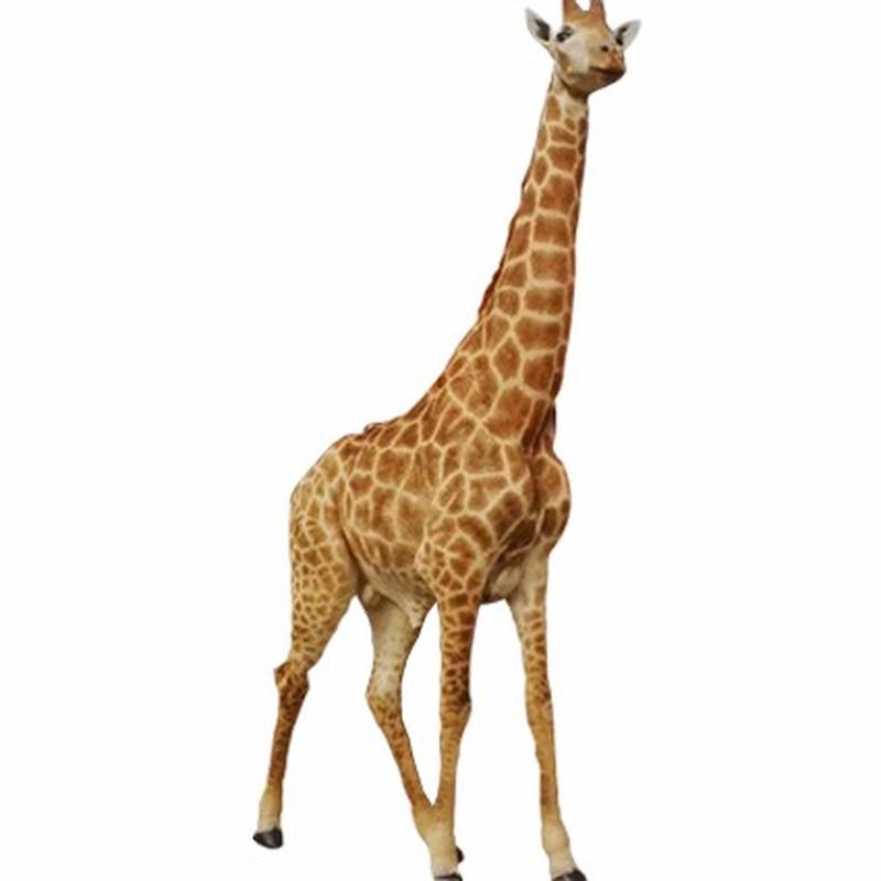 Giraffe Full Mount GF01 - Image 2
