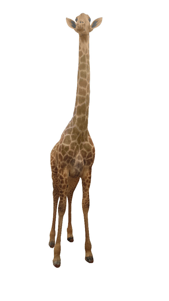 Giraffe Full Mount Ref: F1684 - Image 2