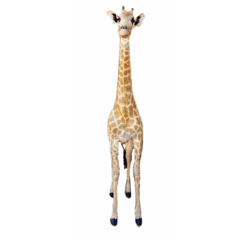 Giraffe Full Mount Ref:269 - Image 4