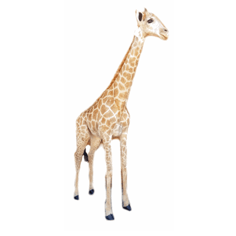 Giraffe Full Mount Ref:269