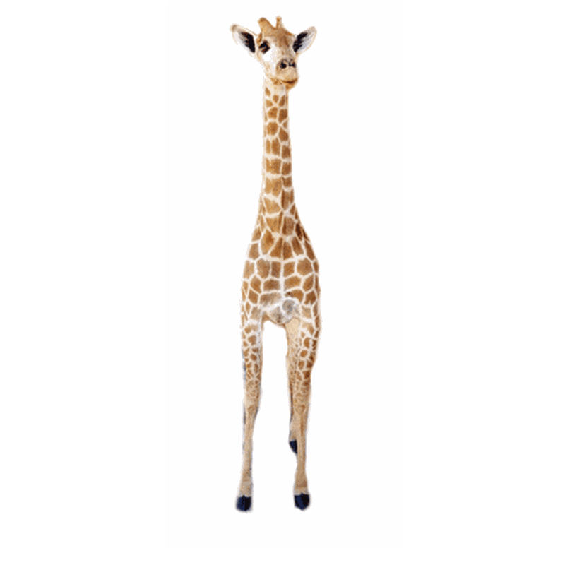 Giraffe Full Mount Ref:270 - Image 2