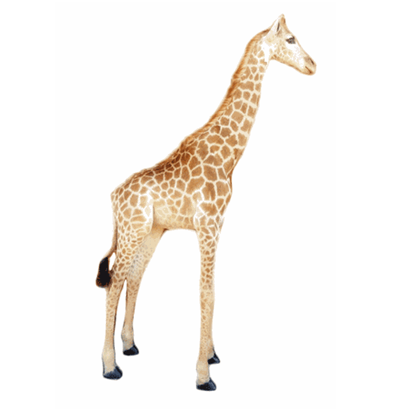 Giraffe Full Mount Ref:270 - Image 3