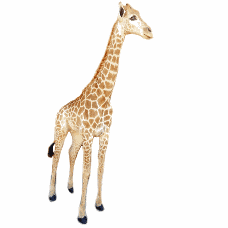 Giraffe Full Mount Ref:270
