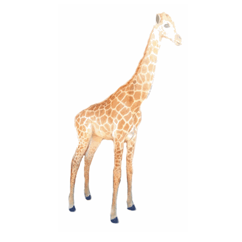 Giraffe Full Mount Ref:274 - Image 4