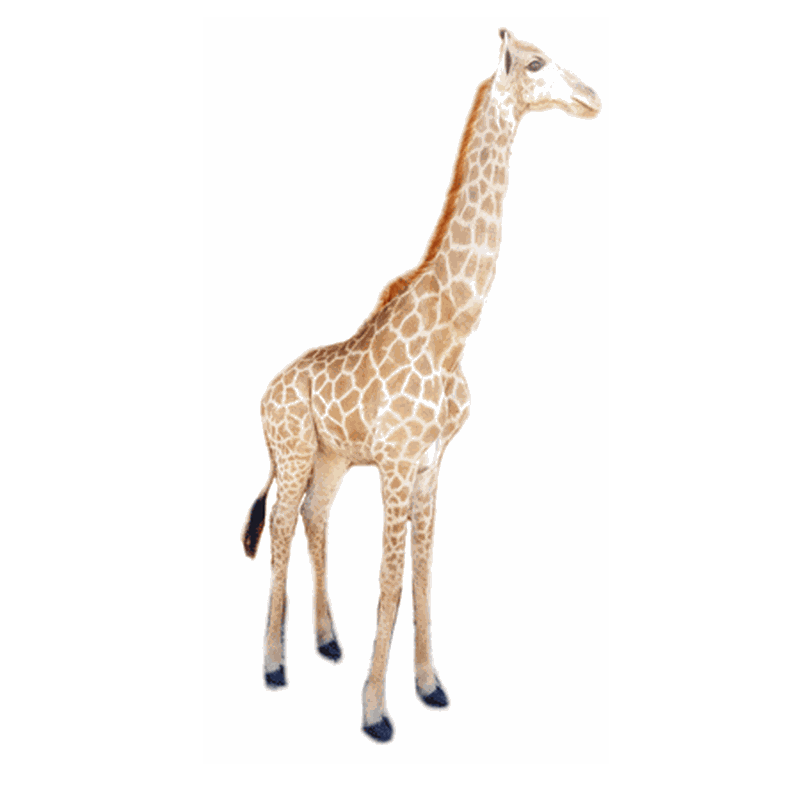 Giraffe Full Mount Ref:290 - Image 2