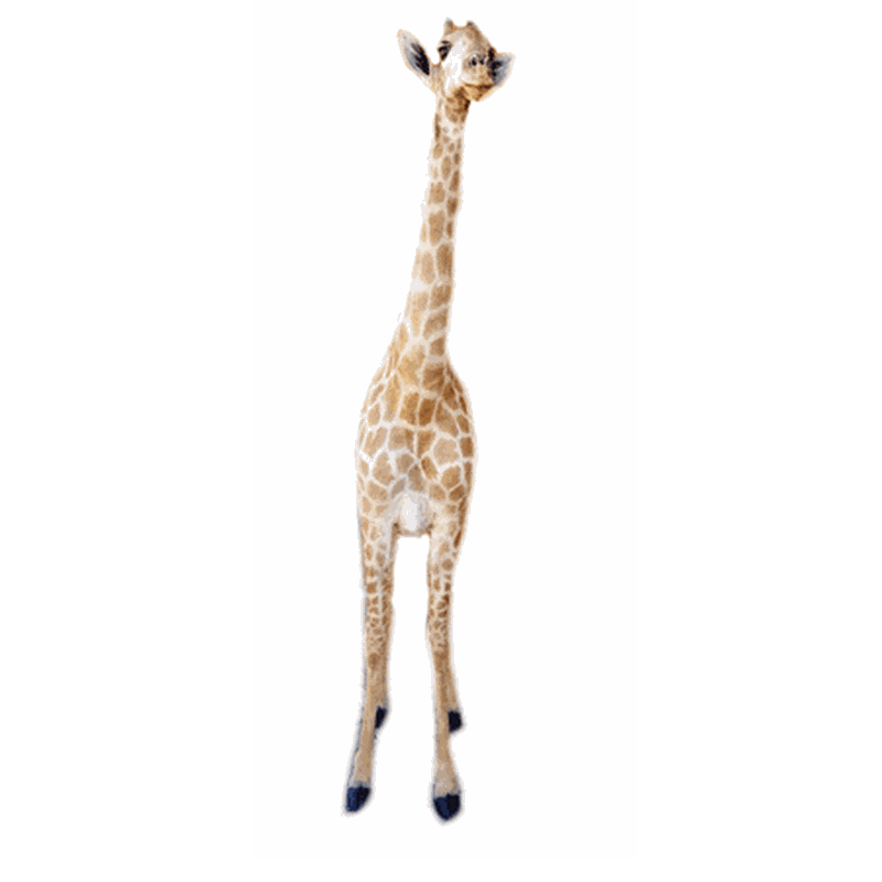 Giraffe Full Mount Ref:290 - Image 4