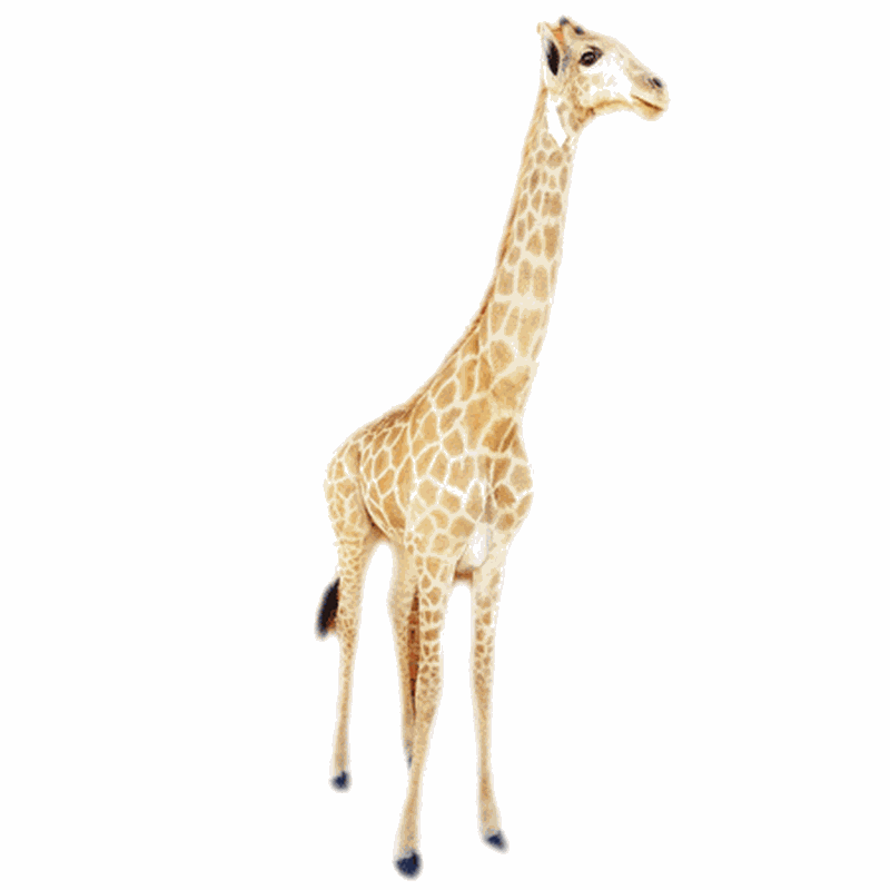 Giraffe Full Mount Ref:290