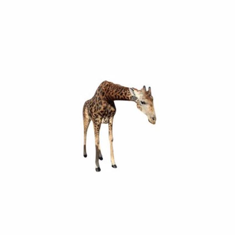 Giraffe Full Mount - S