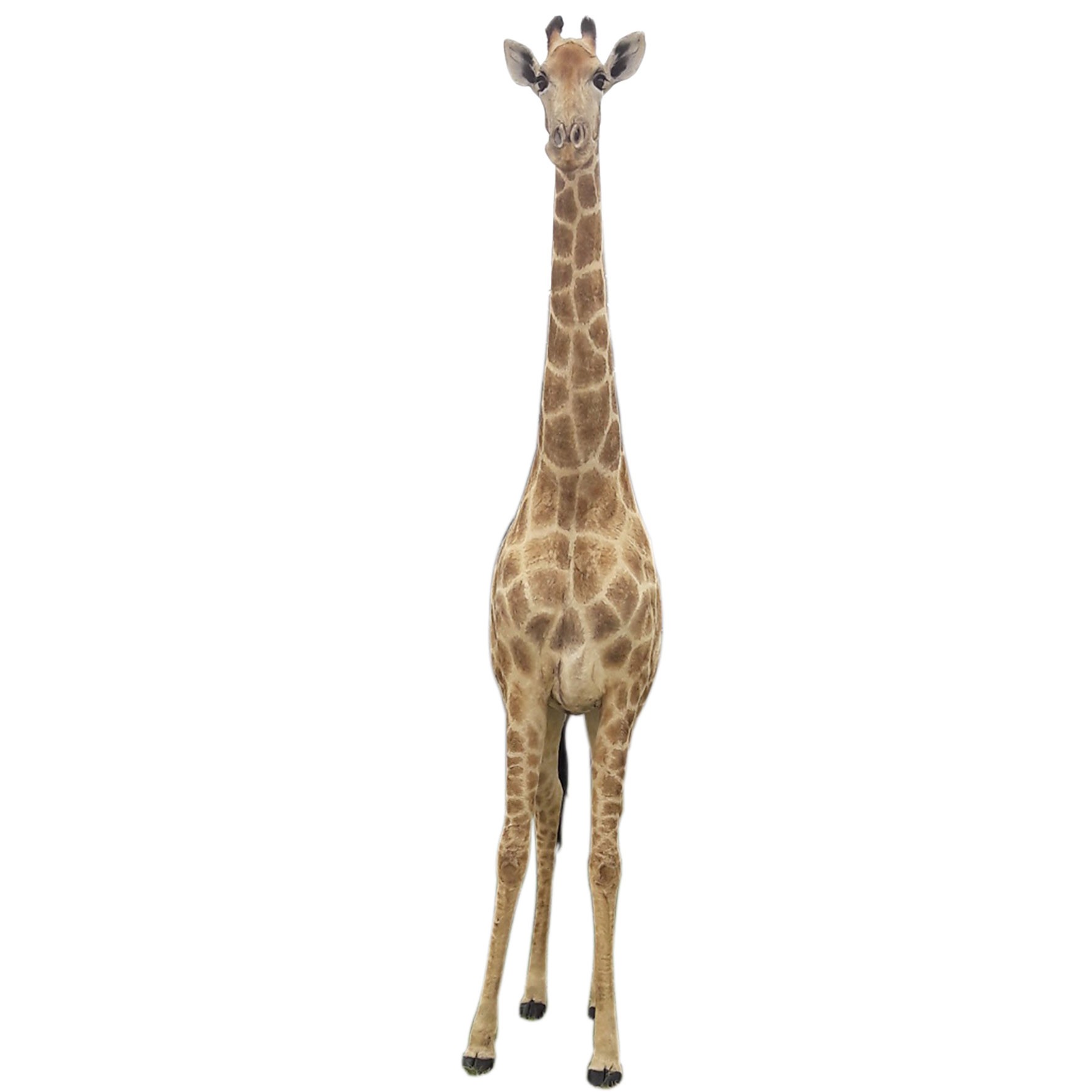 Giraffe Full Mount X0085B - Image 2