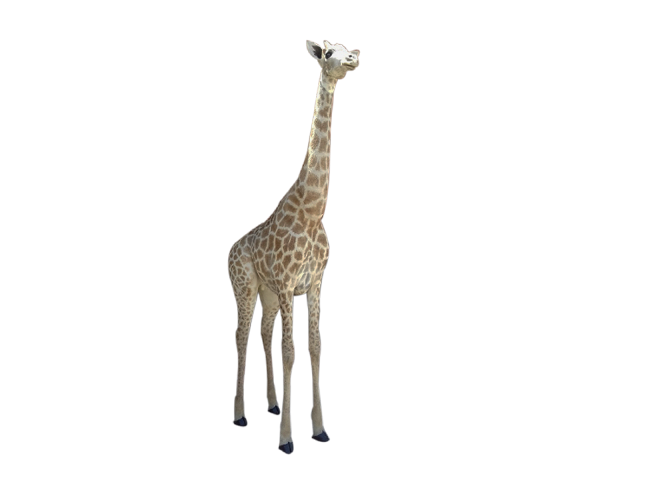 Giraffe Full Mount X0480A
