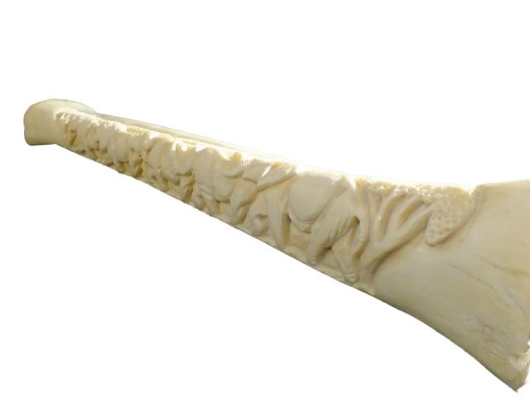 Giraffe Leg Bone With Big Five Carvings - Image 4