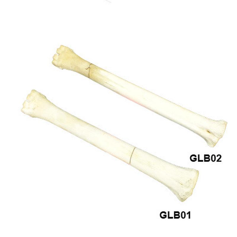 Giraffe Leg Bones - Image 2