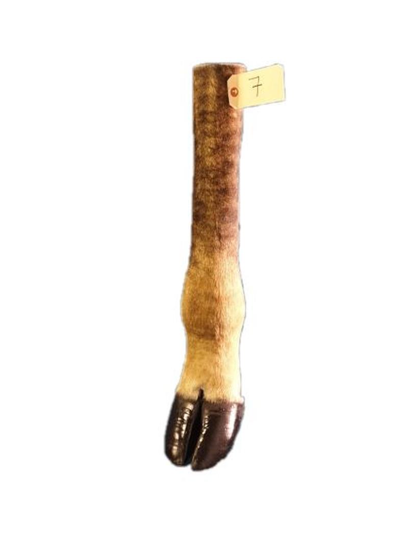 Giraffe Leg - GL07