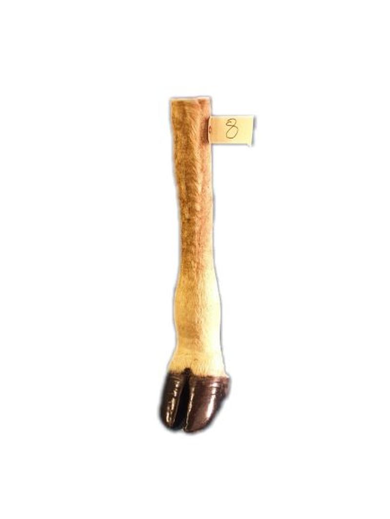 Giraffe Leg GL08