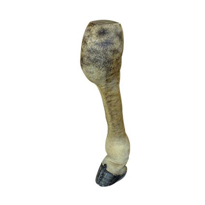 Giraffe Leg GLL13 - Image 2