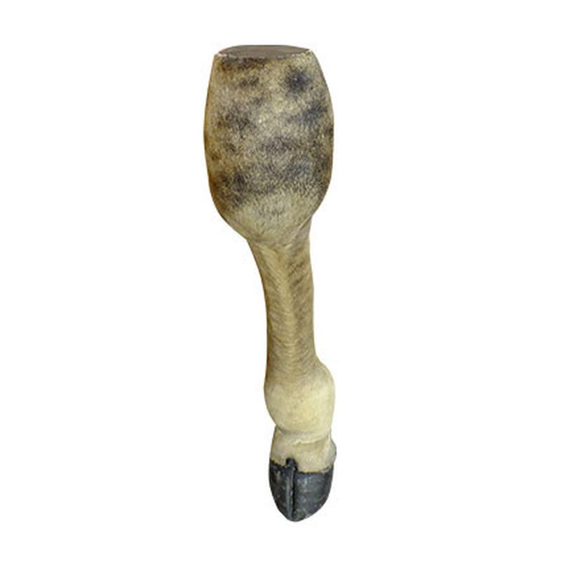 Giraffe Leg GLL13