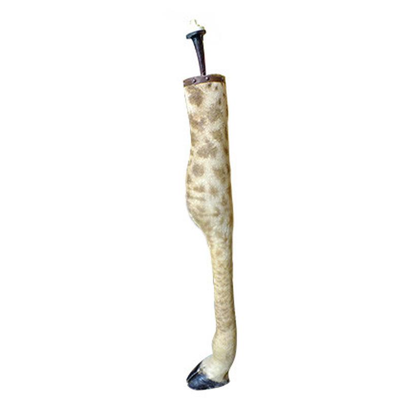Giraffe Leg Lamp GLL11 - Image 2