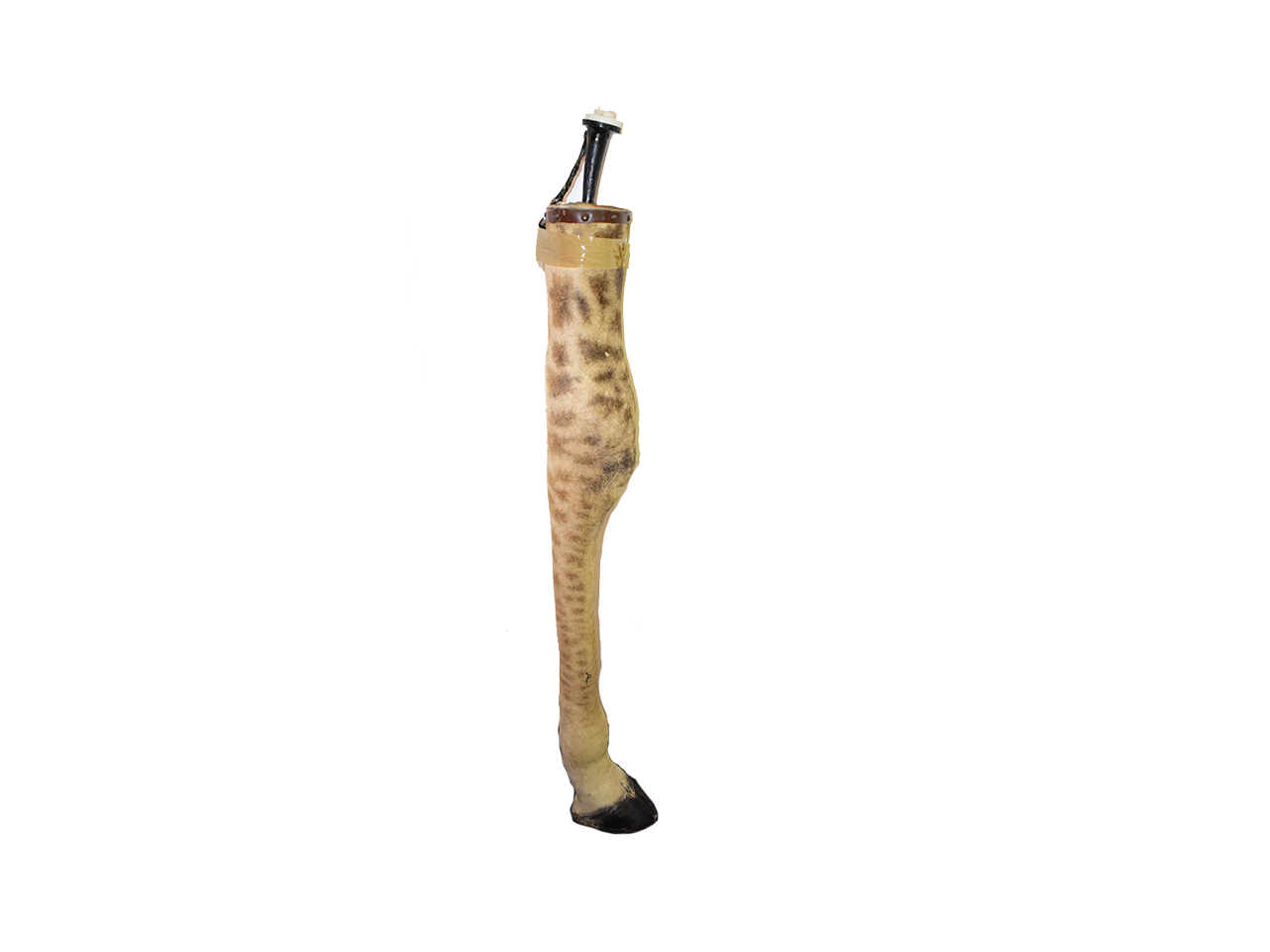 Giraffe Leg Lamp GLL12