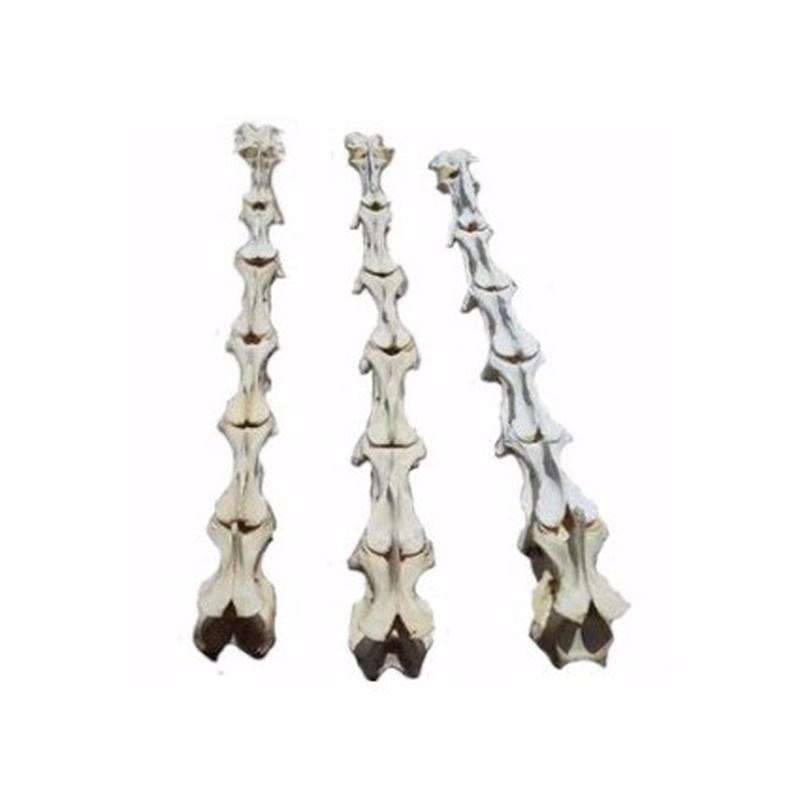 Giraffe Neck Bone Per Set - GNBS1