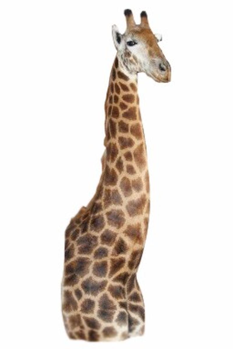 Giraffe Pedestal Floor Mount GPFM1 - Image 2