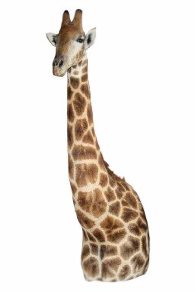 Giraffe Pedestal Floor Mount GPFM1 - Image 3