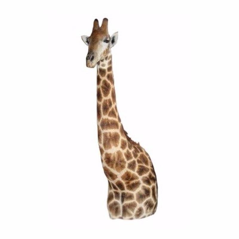 Giraffe Pedestal Floor Mount GPFM1