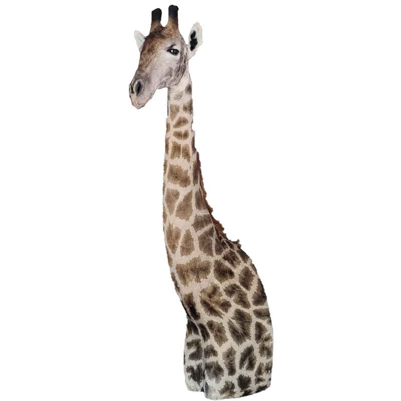 Giraffe Pedestal Mount - GPM100 - Image 3