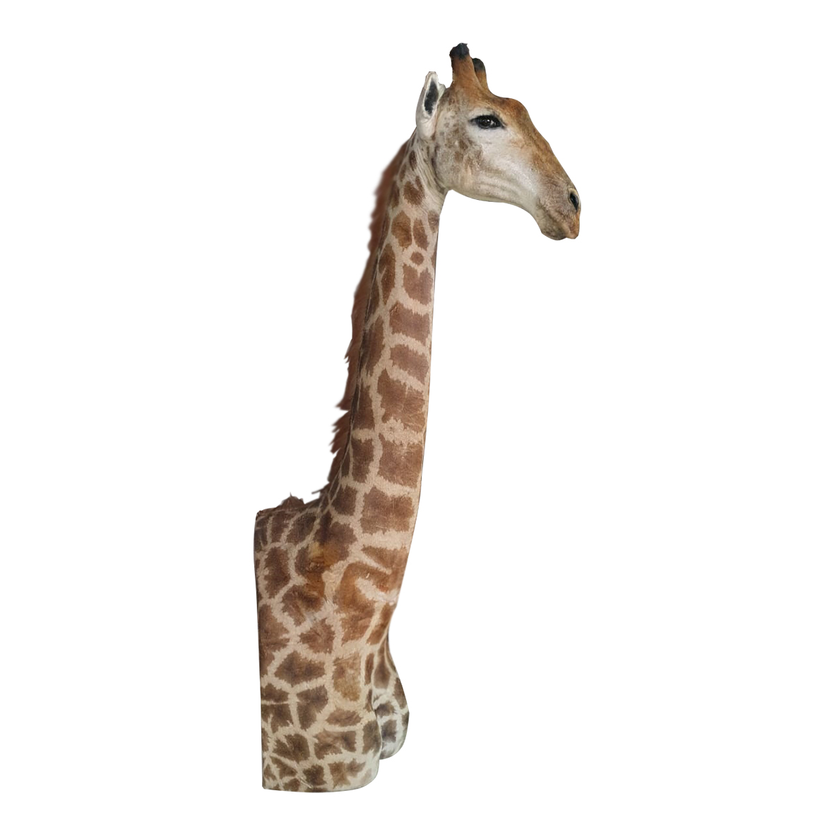 GIRAFFE PEDESTAL MOUNT GPM28S - Image 2