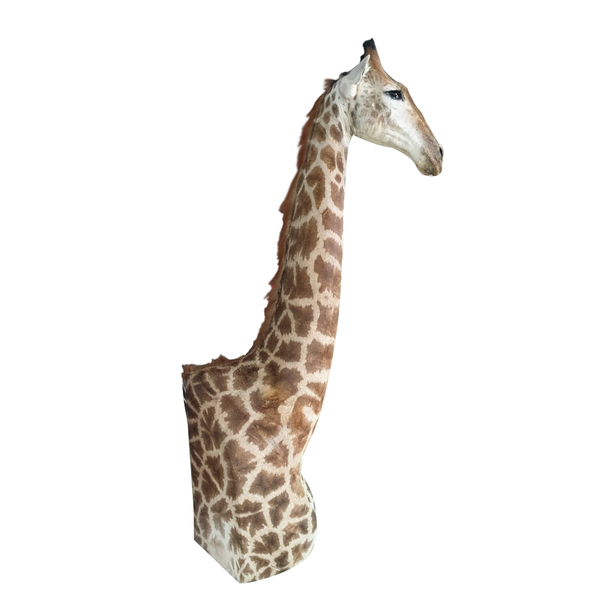 GIRAFFE PEDESTAL MOUNT GPM28S